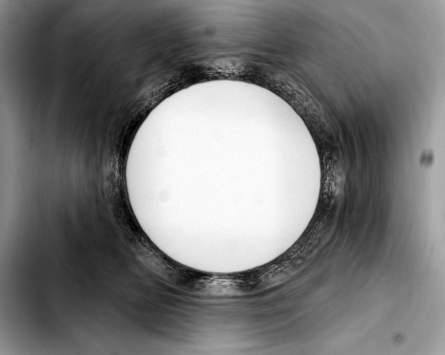 X0000103460518200810101153