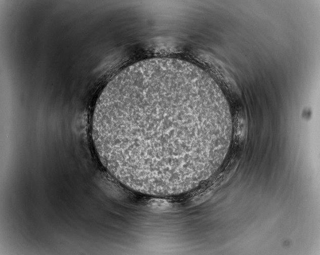 X0000103460519200810101153