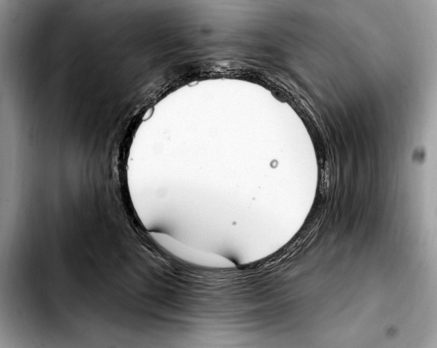 X0000103460520200810101153