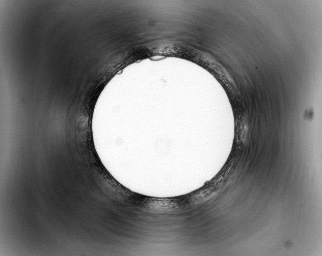 X0000103460521200810101153