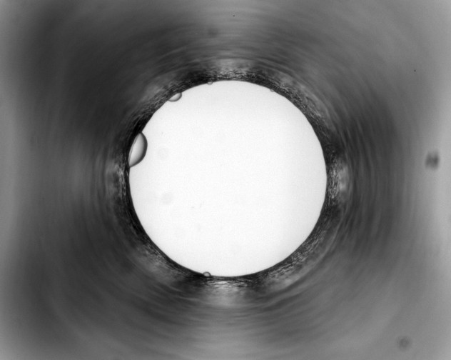 X0000103460522200810101153