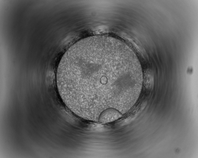 X0000103460523200810101153
