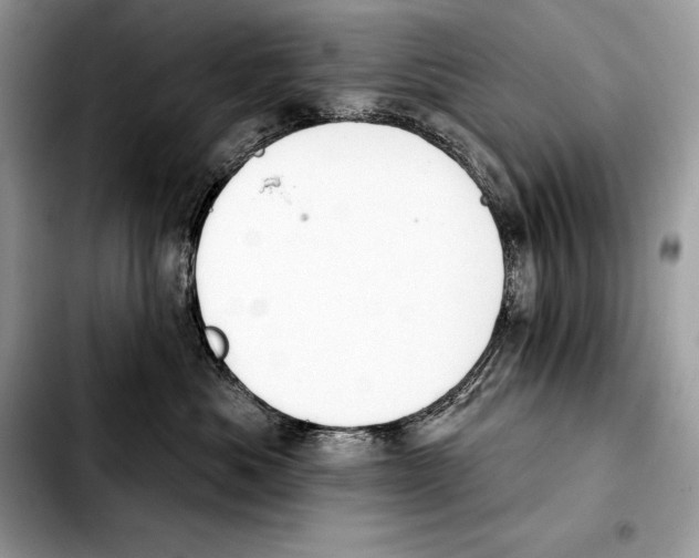 X0000103460525200810101153
