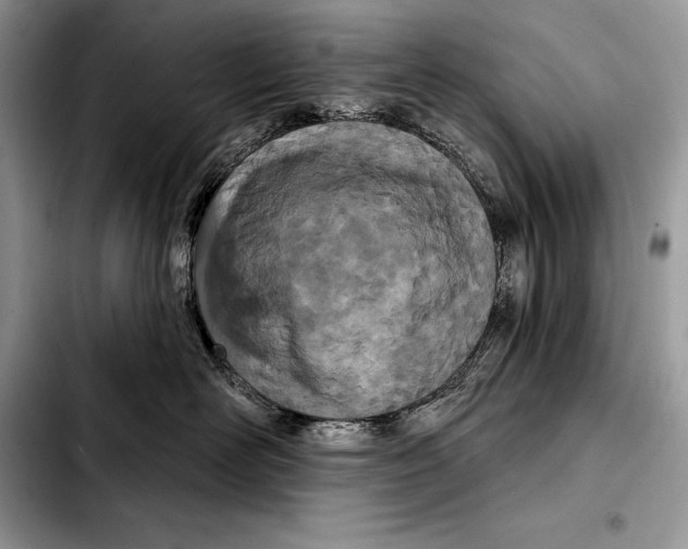 X0000103460526200810101153