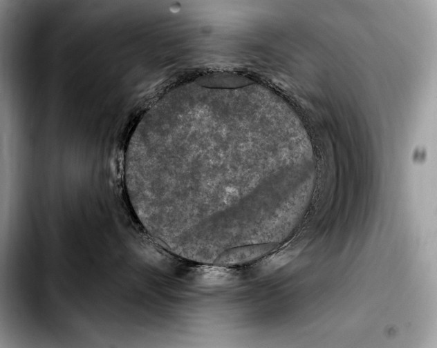 X0000103460528200810101153