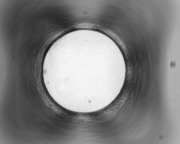 X0000103460529200810101152