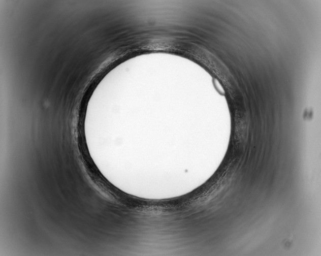 X0000103460530200810101152