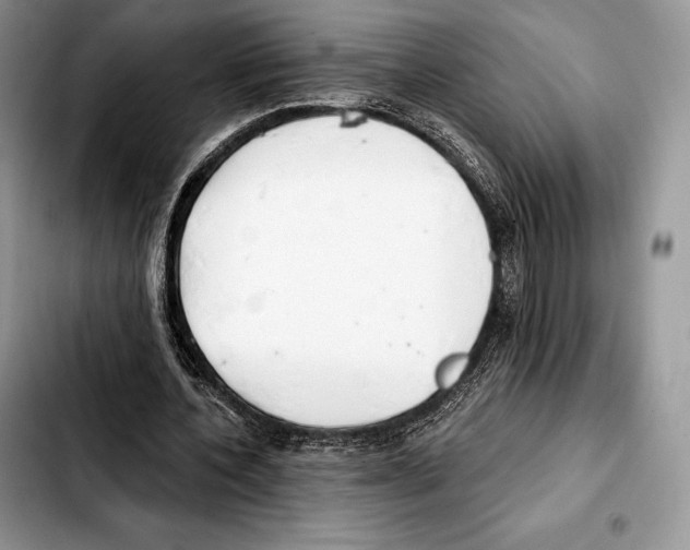X0000103460532200810101152