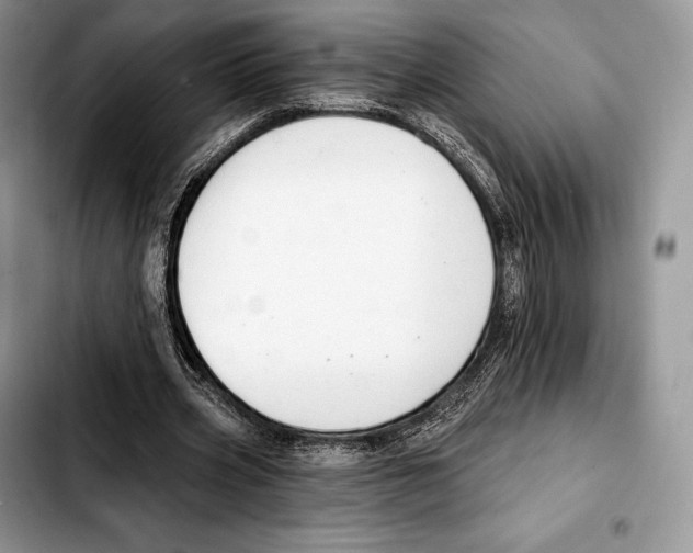 X0000103460533200810101152