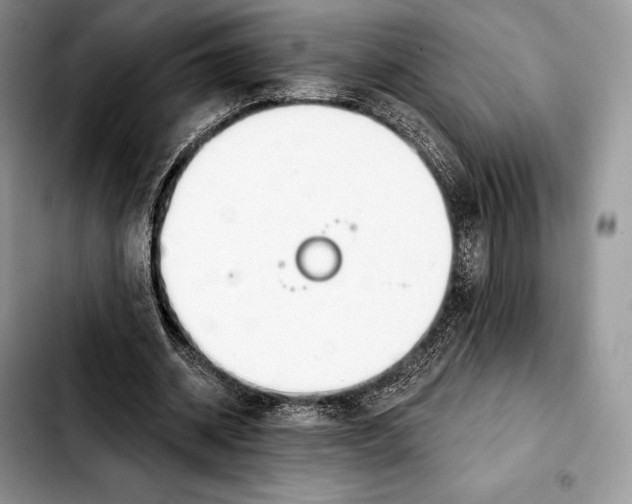 X0000103460534200810101152