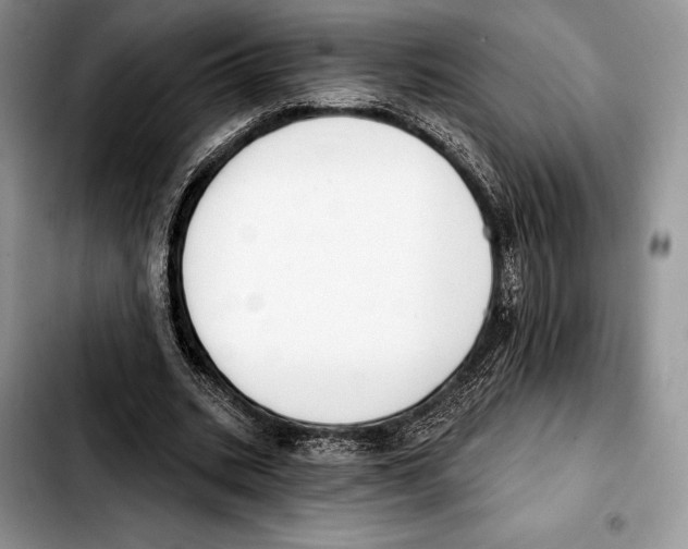 X0000103460535200810101152