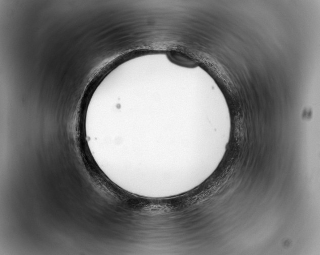 X0000103460536200810101152