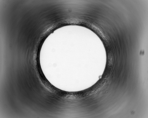 X0000103460538200810101153