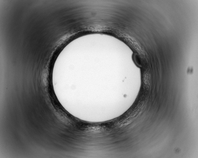 X0000103460540200810101153