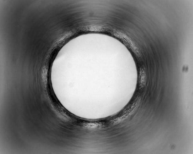 X0000103460542200810101153