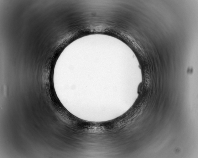 X0000103460543200810101153