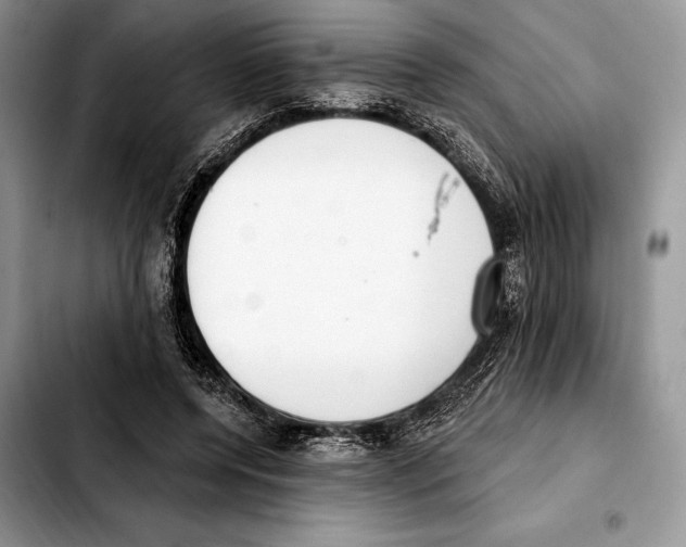 X0000103460544200810101153