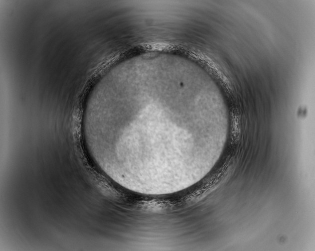 X0000103460545200810101153