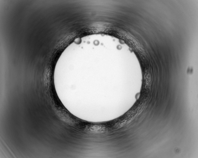 X0000103460546200810101153