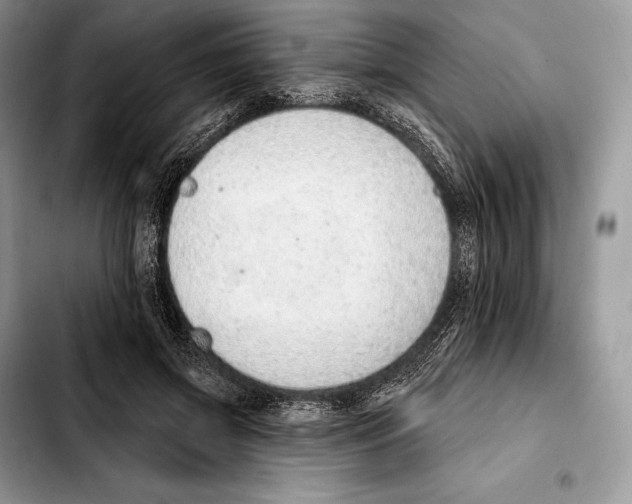 X0000103460549200810101153