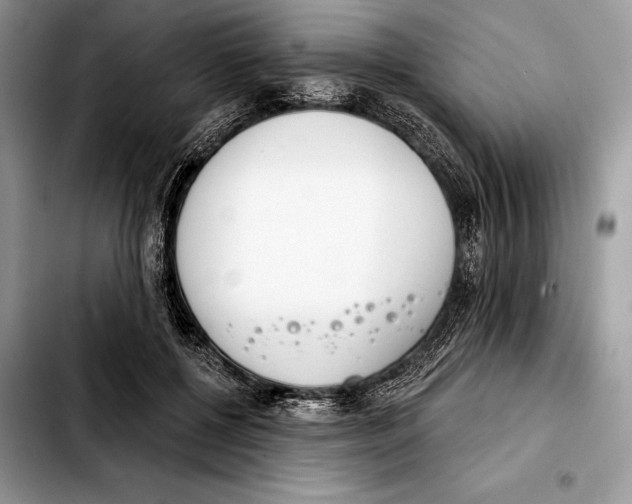 X0000103460552200810101153