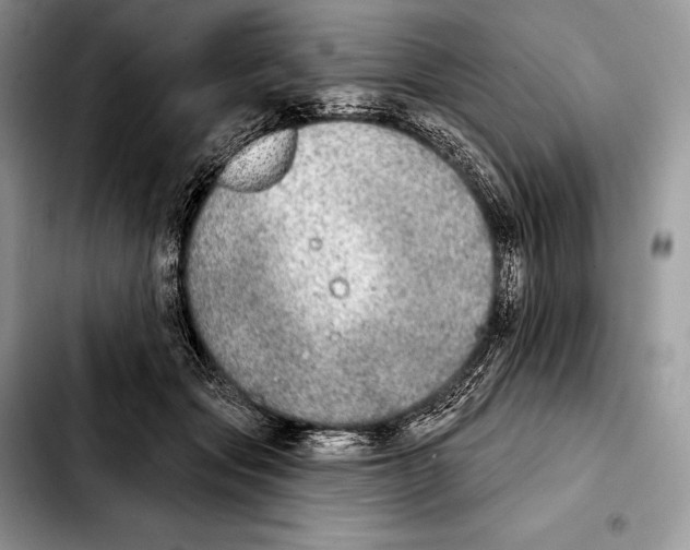 X0000103460557200810101153