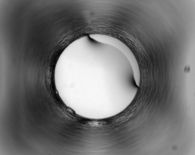 X0000103460558200810101153