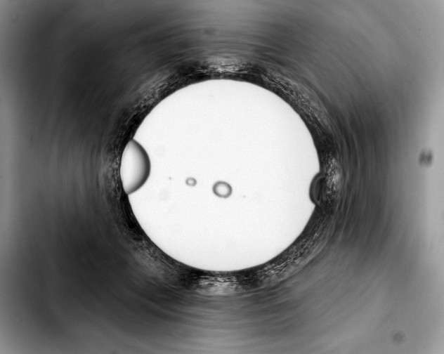 X0000103460559200810101153