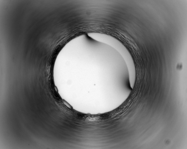 X0000103460560200810101153
