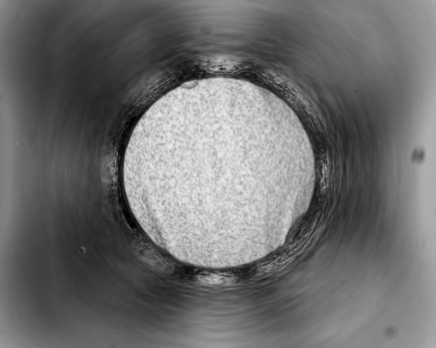 X0000103460561200810101153