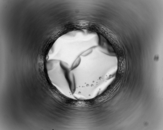 X0000103460562200810101153