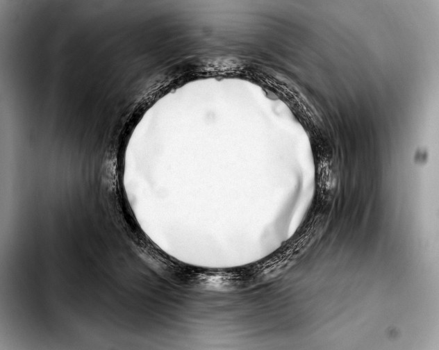 X0000103460564200810101153