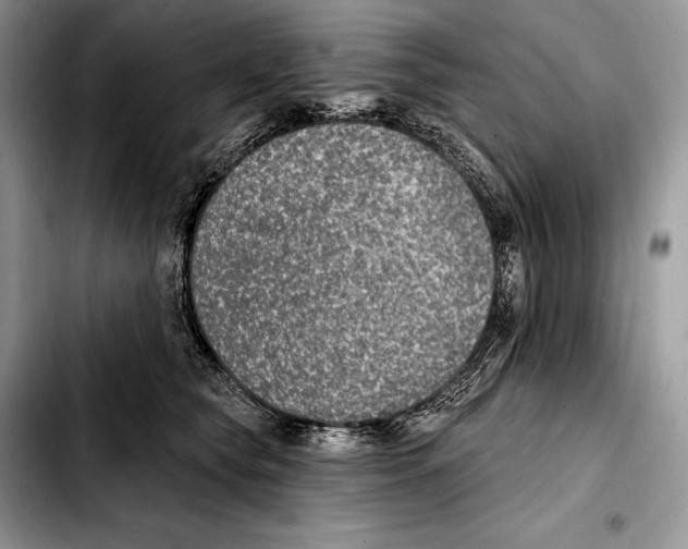 X0000103460565200810101153