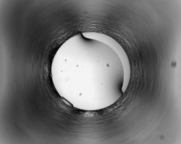 X0000103460566200810101153