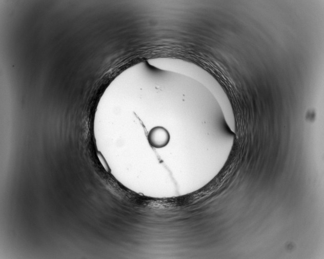X0000103460568200810101153