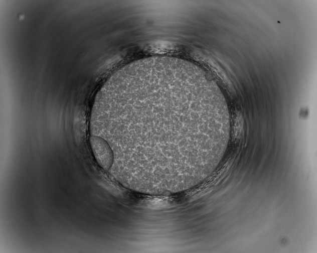 X0000103460569200810101153