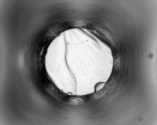 X0000103460572200810101153