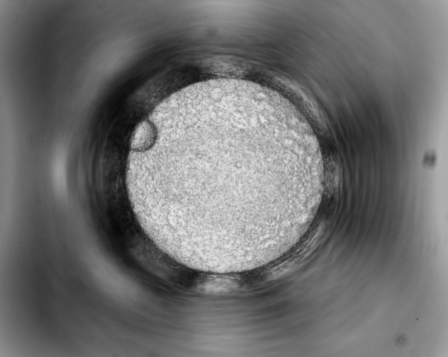 X0000103460573200810101153