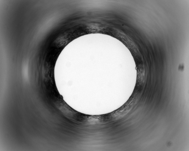 X0000103460574200810101153