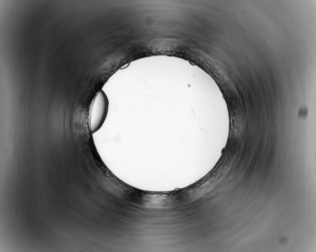 X0000103460575200810101153