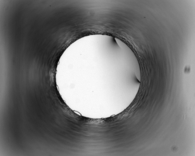 X0000103460576200810101153