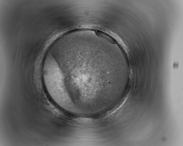X0000103460577200810101152