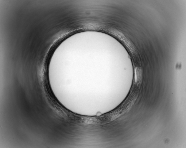 X0000103460579200810101152