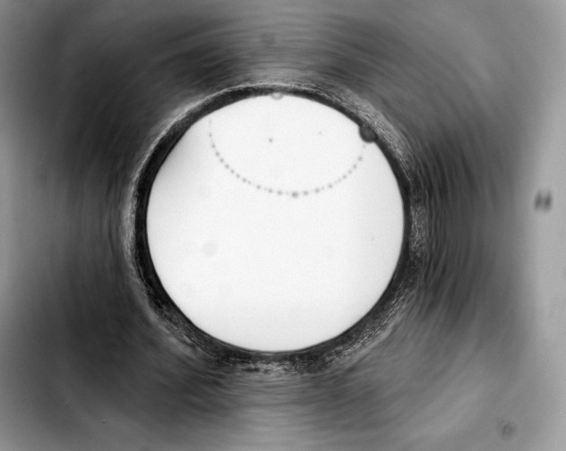 X0000103460580200810101152