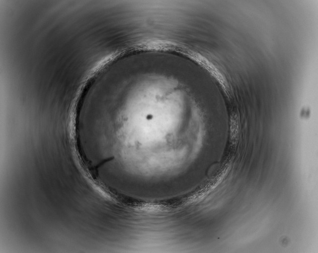 X0000103460581200810101152