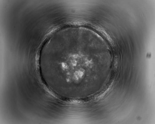 X0000103460585200810101152
