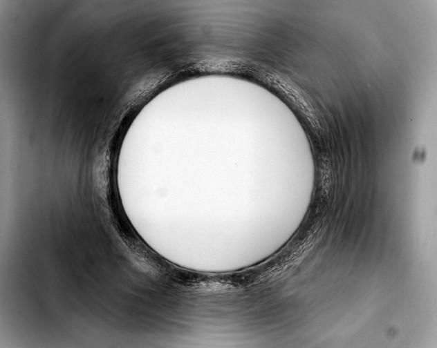 X0000103460586200810101152