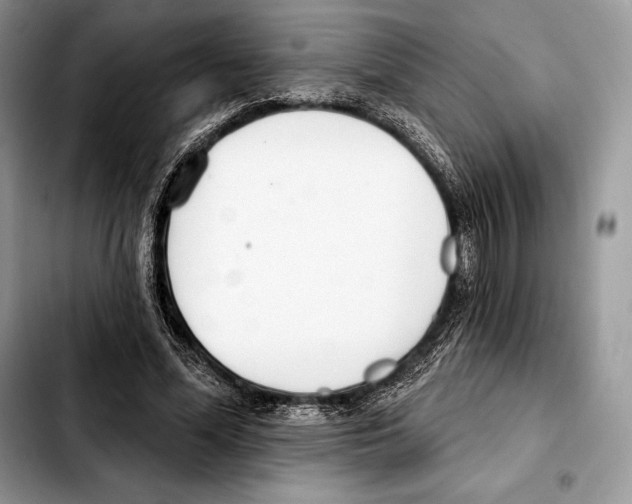 X0000103460588200810101152