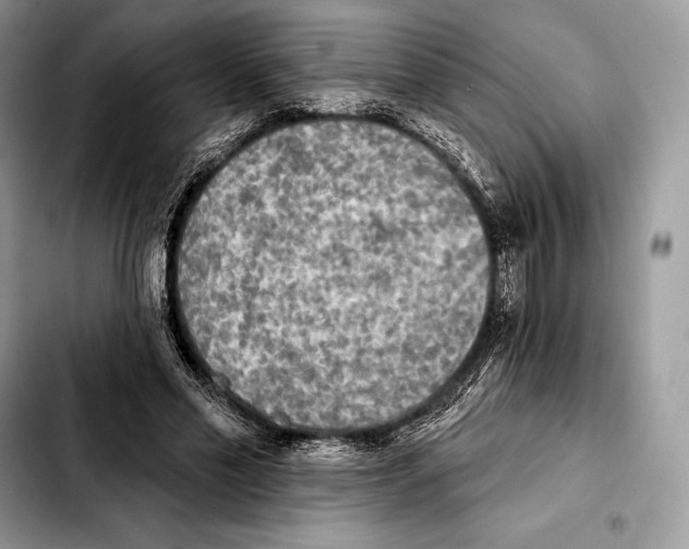 X0000103460589200810101152