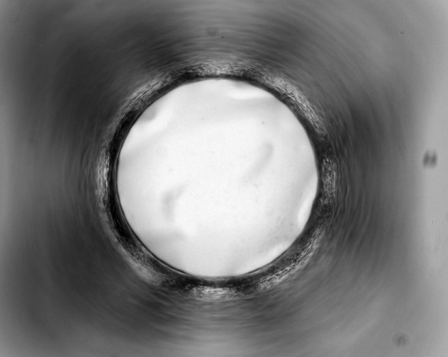 X0000103460590200810101152